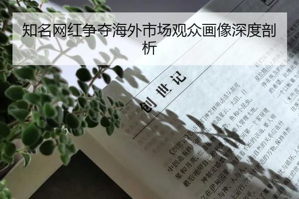 知名网红争夺海外市场观众画像深度剖析